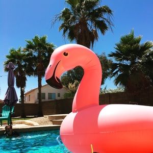 Meet your Posher, Tess